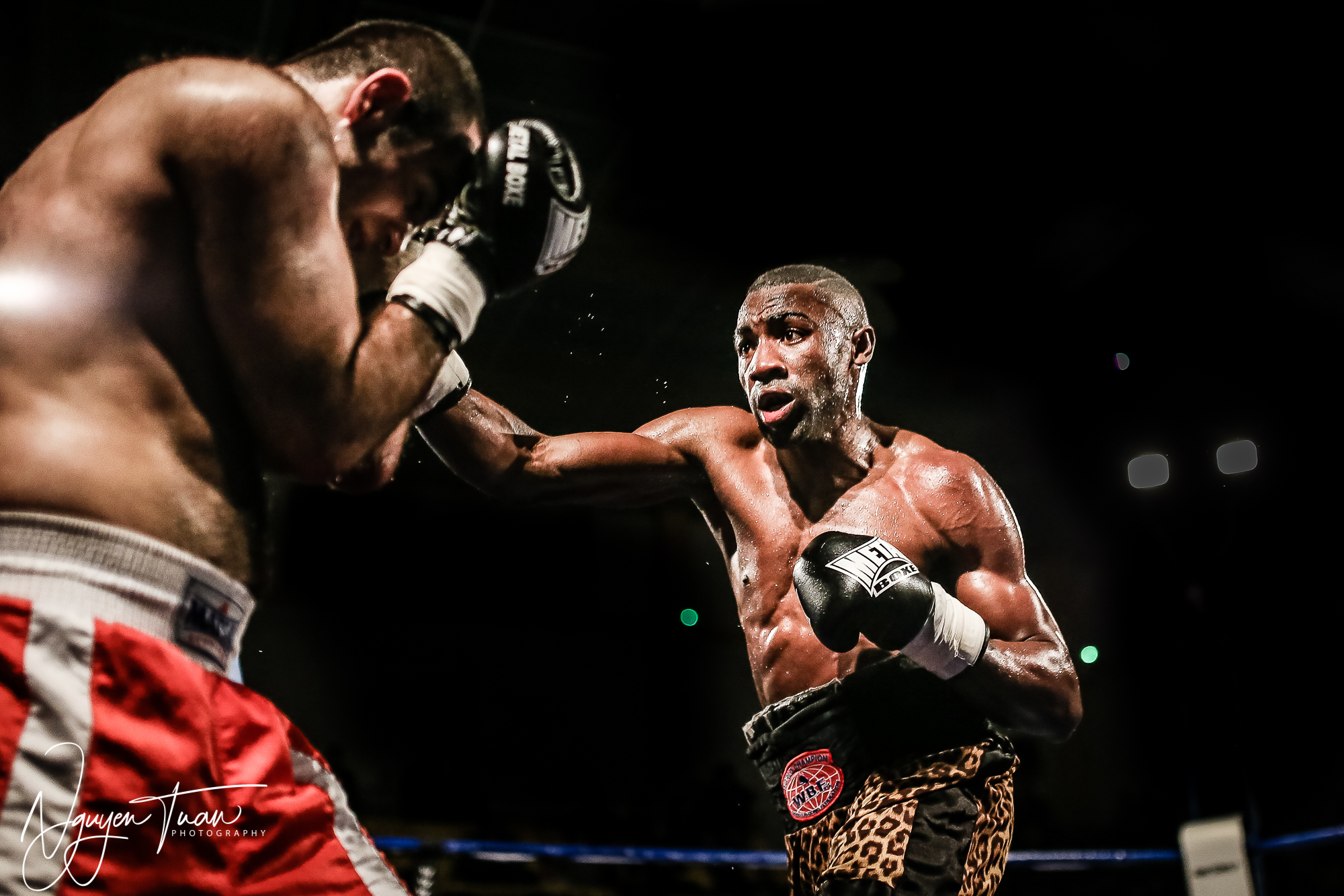 Gala Boxe  24112018   4322